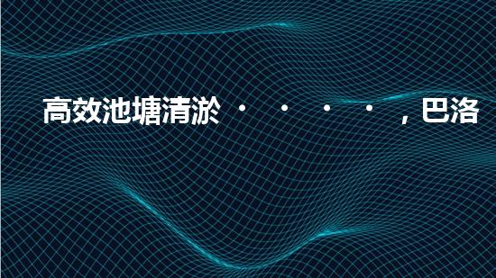 高效池塘清淤，巴洛仕設(shè)備助您一臂之力